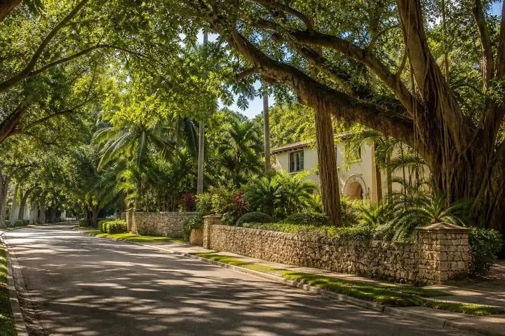 Tree-canopied South Florida street with coral stone walls and tropical landscaping